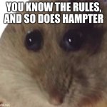 Hampter | YOU KNOW THE RULES, AND SO DOES HAMPTER | image tagged in hampter | made w/ Imgflip meme maker