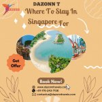 Where To Stay In Singapore For 3 Nights GIF Template