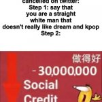 It's simple as that | How to get cancelled on twitter:
Step 1: say that you are a straight white man that doesn't really like dream and kpop
Step 2: | image tagged in social credit,memes,dank,funny,69 | made w/ Imgflip meme maker