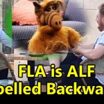 ALF meets OAC | image tagged in alf meets oac | made w/ Imgflip meme maker