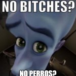 No Bitches? (spanish + english) | NO PERROS? | image tagged in no bitches megamind | made w/ Imgflip meme maker