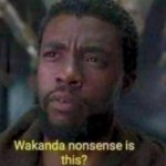 Wakanda Nonsense Is This? meme