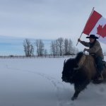 Canada Buffalo Cowboy meme