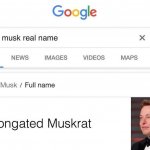 Elon musk real name meme