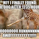 i found the dog | HEY I FINALLY FOUND THE DOG AFTER 1235 HOURS; NOOOOOOOOOOO RUNNNNNNNNNNN AWAYYYYYYYYYY!!!!!! | image tagged in giraffe pointing at a duck | made w/ Imgflip meme maker