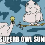 SUPERB OWL SUNDAY | IT'S SUPERB OWL SUNDAY! | image tagged in tootsie roll owl,super bowl,nerdy,geeky,70s,70s commercial | made w/ Imgflip meme maker