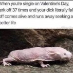 mole rat single valentines day