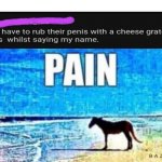 Pain horse | image tagged in pain horse | made w/ Imgflip meme maker