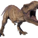 Tyrannosaurus Rex