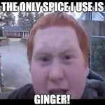 ginger | THE ONLY SPICE I USE IS; GINGER! | image tagged in ginger | made w/ Imgflip meme maker