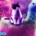 MyMemerFruit Galaxy cat