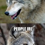 True dat | PEOPLE DIGITALLY; PEOPLE IRL | image tagged in haha-no-wolf,funny memes,fun | made w/ Imgflip meme maker