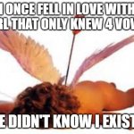 Valentine's Day | I ONCE FELL IN LOVE WITH A GIRL THAT ONLY KNEW 4 VOWELS; SHE DIDN'T KNOW I EXISTED | image tagged in cupid | made w/ Imgflip meme maker