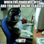 I Have No Idea What I Am Doing | WHEN THE PANDEMIC HITS AND YOU HAVE ONLINE CLASSES WTF | image tagged in memes,i have no idea what i am doing | made w/ Imgflip meme maker