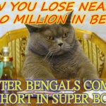 TFW you lose nearly $10 million in bets after Bengals come up short in Super Bowl | TFW YOU LOSE NEARLY $10 MILLION IN BETS; AFTER BENGALS COME UP SHORT IN SUPER BOWL | image tagged in gambling sad cat | made w/ Imgflip meme maker