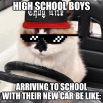 cat meme | HIGH SCHOOL BOYS; ARRIVING TO SCHOOL WITH THEIR NEW CAR BE LIKE: | image tagged in cat driving,cats | made w/ Imgflip meme maker