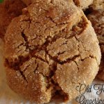 Gingersnap
