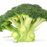 Broccoli