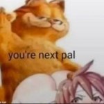 ur next pal meme