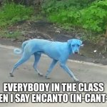 This Is So Annoying | EVERYBODY IN THE CLASS WHEN I SAY ENCANTO (IN-CANT-OH) | image tagged in i didn't see anything | made w/ Imgflip meme maker
