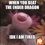 happyness | WHEN YOU BEAT THE ENDER DRAGON; IDK I AM TIRED | image tagged in happy,fun stream | made w/ Imgflip meme maker