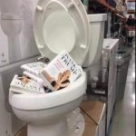 Ivanka books in toilet