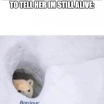 So true | image tagged in so true | made w/ Imgflip meme maker