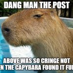 Side Eye Capybara | DANG MAN THE POST; ABOVE WAS SO CRINGE NOT EVEN THE CAPYBARA FOUND IT FUNNY | image tagged in side eye capybara | made w/ Imgflip meme maker