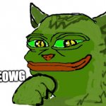 pepe cat