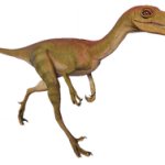 Troodon (JWE Design)