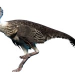 Oviraptor in Prehistoric Kingdom