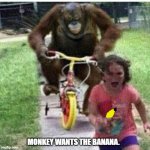 Run Kid, Run with that banana! | MONKEY WANTS THE BANANA. | image tagged in ape on bike | made w/ Imgflip meme maker