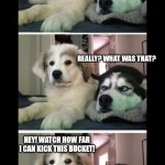 Bad joke dogs | I STILL REMEMBER THE LAST THING MY GRANDFATHER TOLD ME BEFORE HE KICKED THE BUCKET. REALLY? WHAT WAS THAT? HEY! WATCH HOW FAR I CAN KICK THIS BUCKET! | image tagged in bad joke dogs | made w/ Imgflip meme maker