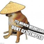 Wench wednesday | ITS WENCH WEDNESDAY; DONT GET TEMPTED | image tagged in wench dog | made w/ Imgflip meme maker