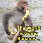 Bananas If you can Afford them !!! | image tagged in bananas if you can afford them | made w/ Imgflip meme maker
