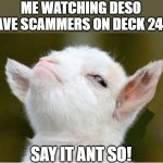 me no fool | ME WATCHING DESO HAVE SCAMMERS ON DECK 24/7; SAY IT ANT SO! | image tagged in suspicious sheep,sheep,suspicious,sheeple | made w/ Imgflip meme maker