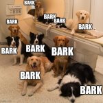 Dogs in MRI machine | BARK; BARK; BARK; BARK; BARK; BARK; BARK; BARK; BARK; BARK | image tagged in dogs in mri machine | made w/ Imgflip meme maker
