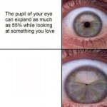 your pupil expands looking at someone you love template