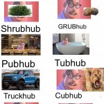 Yes grubs look like that | Grubhub; GRUBhub; Shrubhub; Tubhub; Pubhub; Cubhub; Truckhub; cuphub; Mchub | image tagged in plain white,grubhub | made w/ Imgflip meme maker