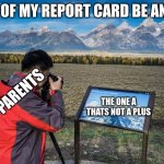 my grades with parents be like | ALL OF MY REPORT CARD BE AN A+; MY PARENTS; THE ONE A THATS NOT A PLUS | image tagged in tourist taking picture of picture | made w/ Imgflip meme maker
