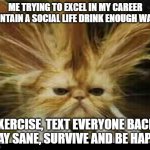 cat stressed | ME TRYING TO EXCEL IN MY CAREER MAINTAIN A SOCIAL LIFE DRINK ENOUGH WATER; EXERCISE, TEXT EVERYONE BACK, STAY SANE, SURVIVE AND BE HAPPY. | image tagged in cat stressed | made w/ Imgflip meme maker