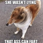 she wasn't lying that ass can fart