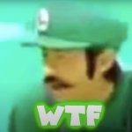 Luigi: Mario WTF?!