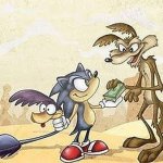 Sonic Catches The Road Runner