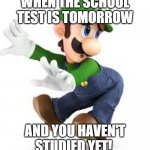 Luigi scared | WHEN THE SCHOOL TEST IS TOMORROW; AND YOU HAVEN'T STUDIED YET! | image tagged in luigi scared | made w/ Imgflip meme maker
