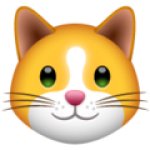pussy