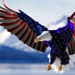 Patriotic Eagle