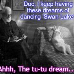 Freud and rabbit | Doc, I keep having these dreams of dancing 'Swan Lake'. Ahhh, The tu-tu dream... | image tagged in freud and rabbit | made w/ Imgflip meme maker