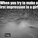 Title not found | When you try to make a first impression to a girl | image tagged in hey | made w/ Imgflip meme maker