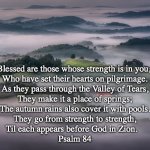 Psalm 84 pilgrimage | Blessed are those whose strength is in you, 
Who have set their hearts on pilgrimage.
As they pass through the Valley of Tears,
They make it a place of springs;
The autumn rains also cover it with pools.
They go from strength to strength,
Til each appears before God in Zion.   
Psalm 84 | image tagged in the pilgrimage | made w/ Imgflip meme maker